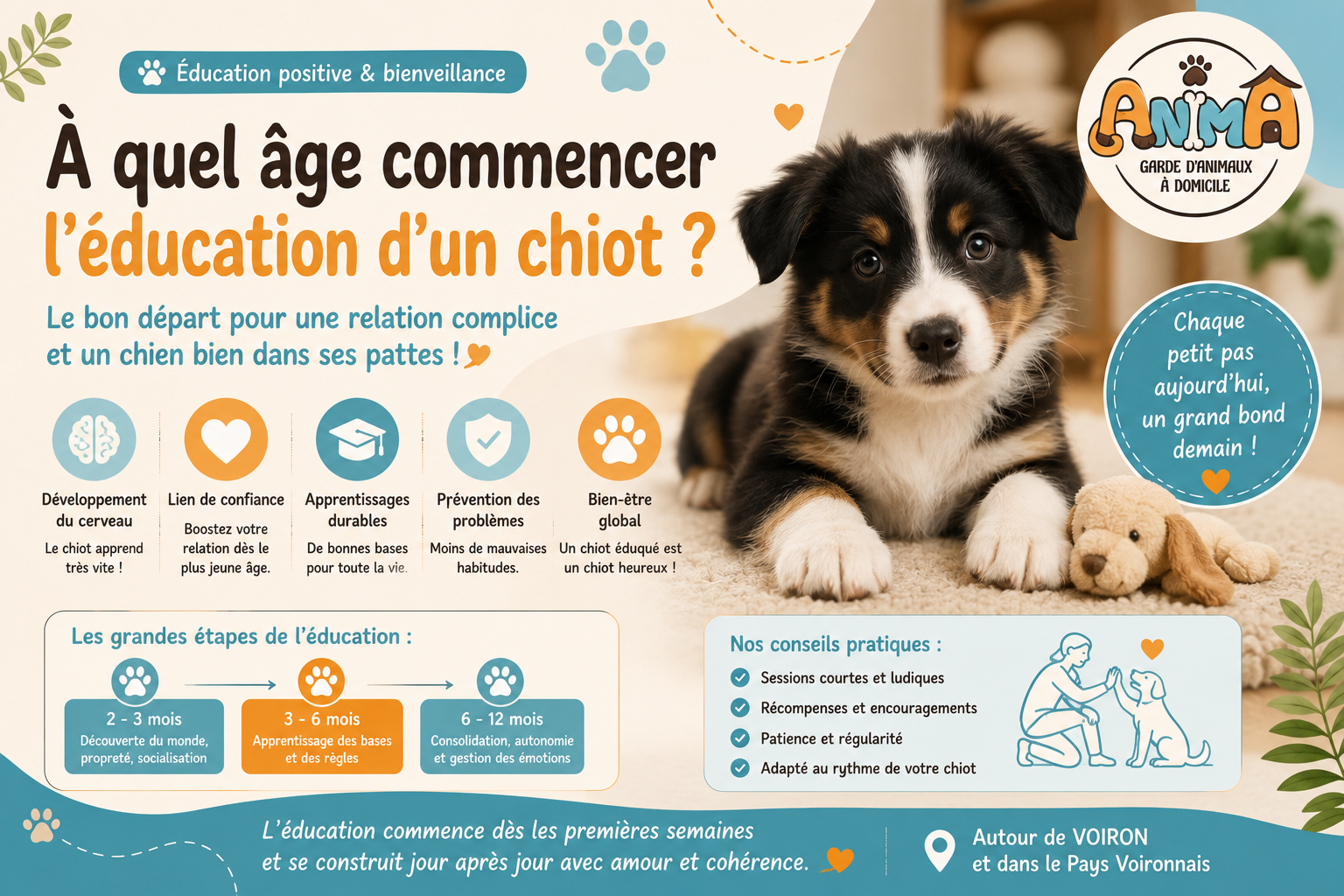 Chiot découvrant ses premiers apprentissages en éducation canine autour de Voiron